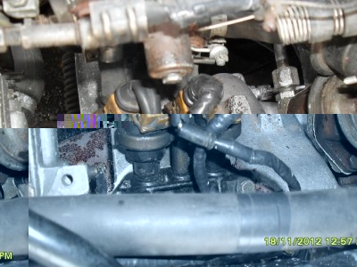 SDC10854.jpg