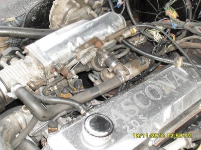 SDC10855.jpg